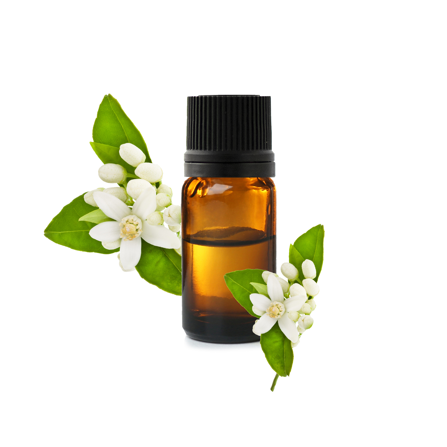 нероли нероли.jpg