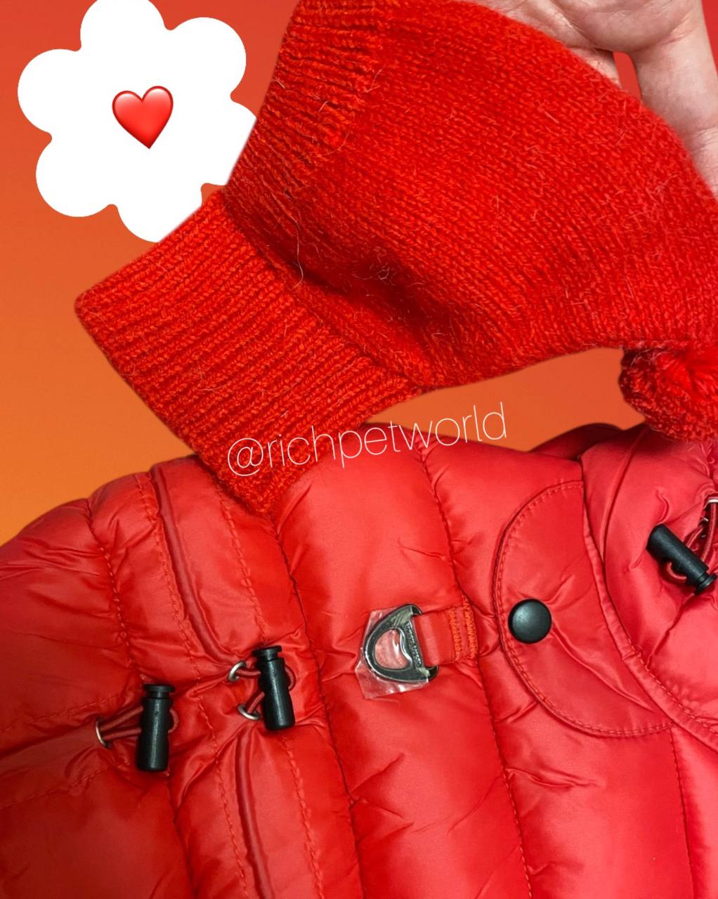 photo_2025-10-29_13-12-17 photo_2025-10-29_13-12-17.jpg