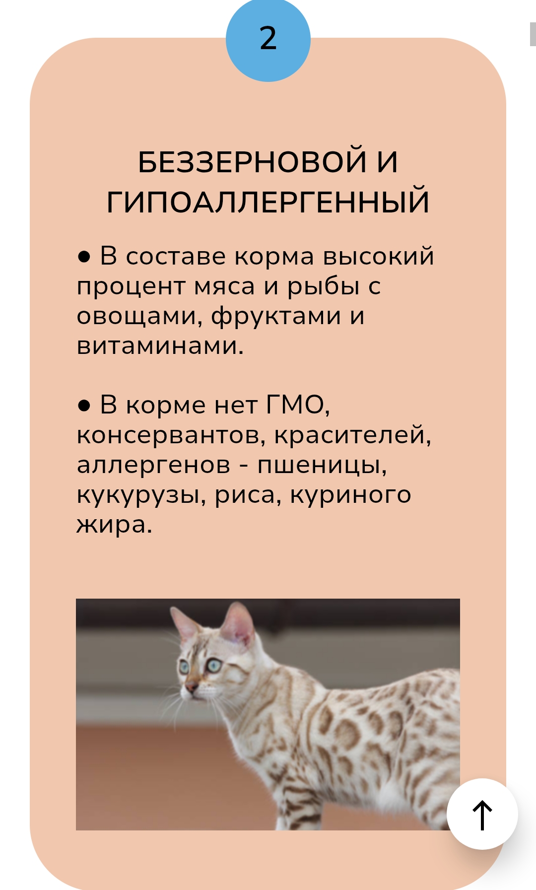 1000081084 1000081084.jpg