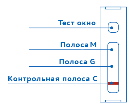 Экспресс тест на антитела к коронавирусу - отрицательный результат