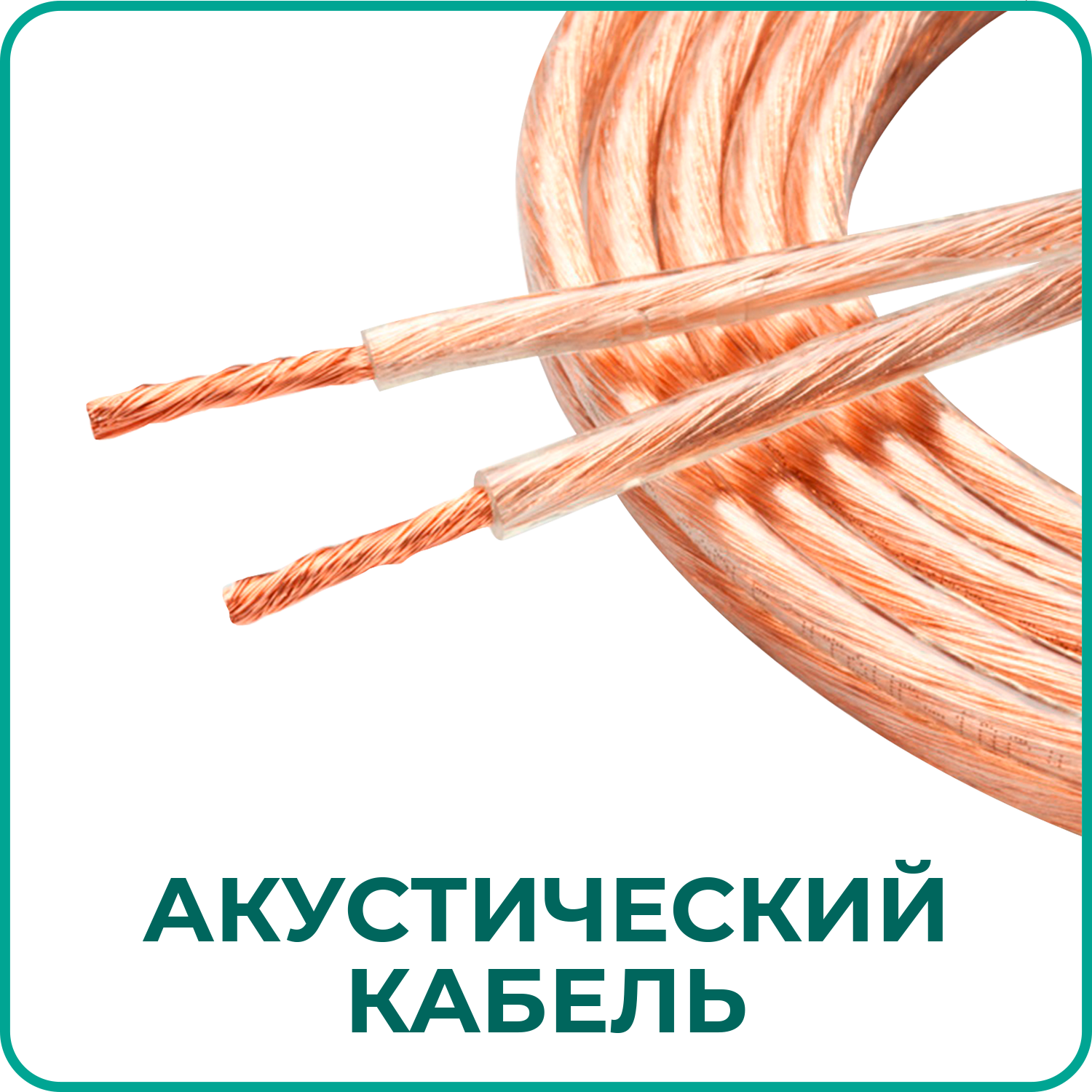 19.png