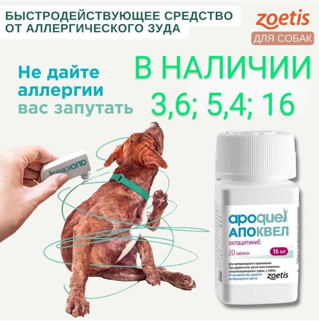 Лактостоп Для Кошек Цена