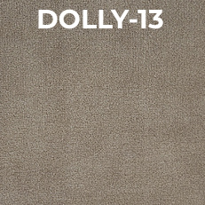 Dolly-13.jpeg
