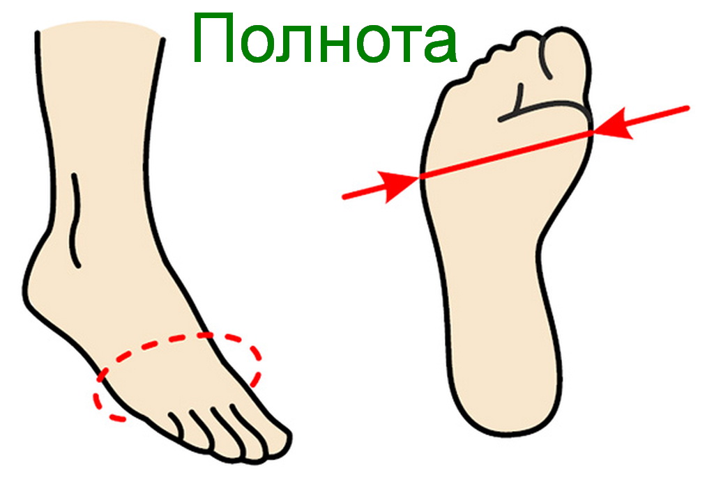Какая полнота стопы. Полнота стопы. Измерение стопы. Обхват стопы. Измерить полноту стопы.