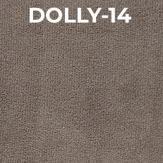 Dolly-14.jpeg