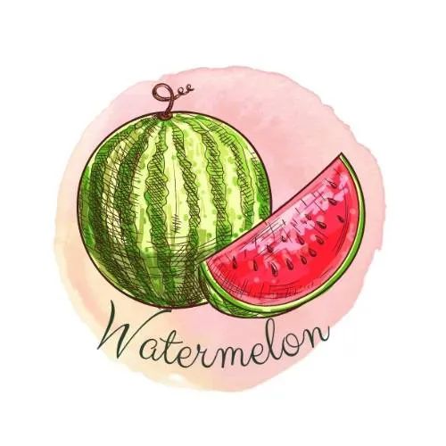 Watermelon