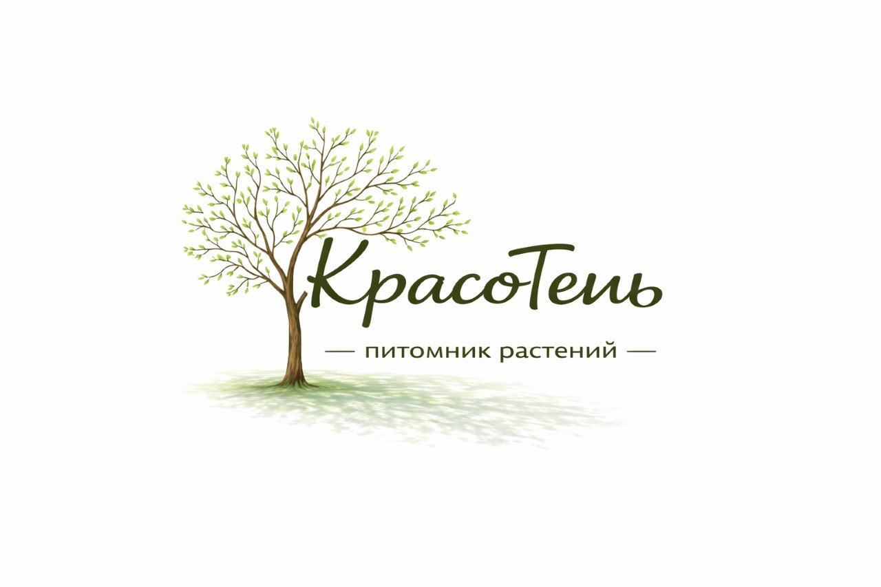 КрасоТень