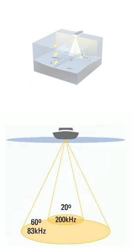 sonarbeam.webp
