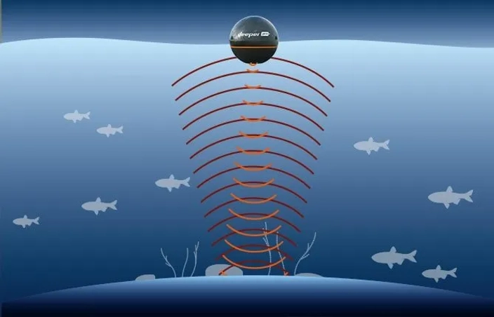 sonar-scanning-frequencies_1a84670bdda8d26eee45f036ee96e2bc.webp