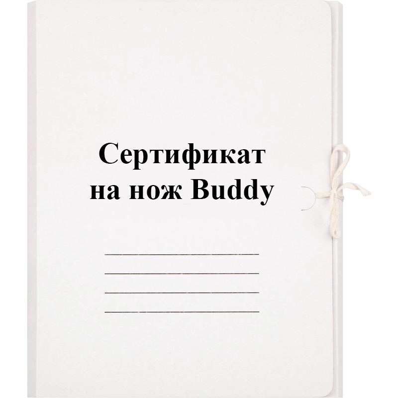 buddy certificate.jpg