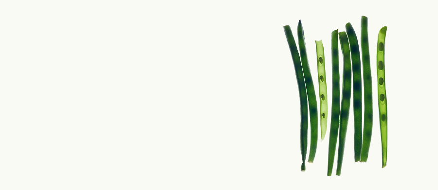 Индивидуальная программа