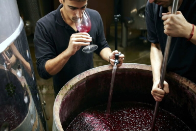 История розового вина