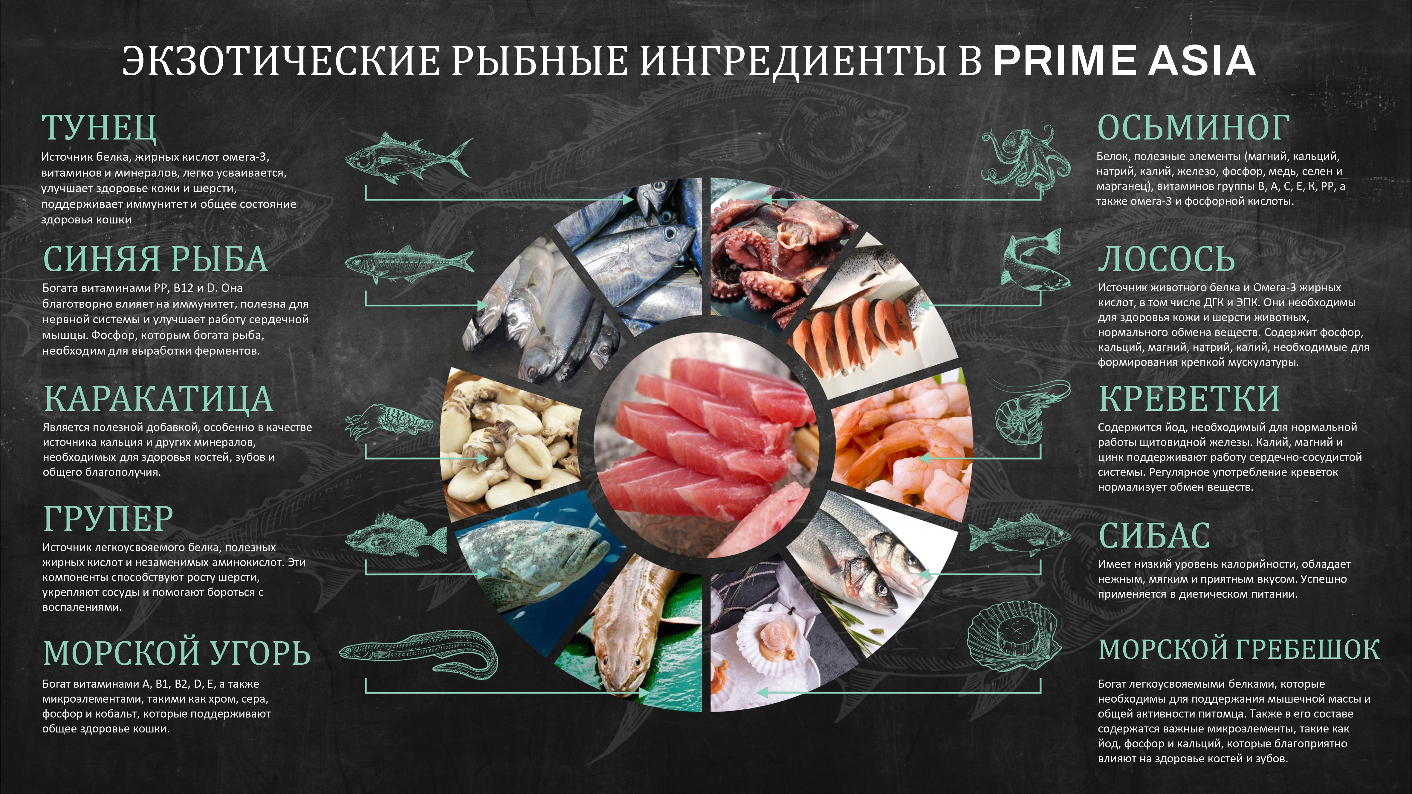 Prime Asia_page-0005.jpg