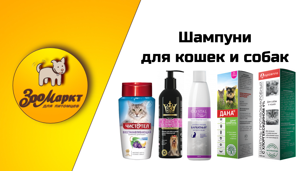 Шаблоны Акций (1).png
