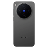 Vivo X300
