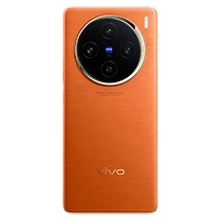 Vivo X100