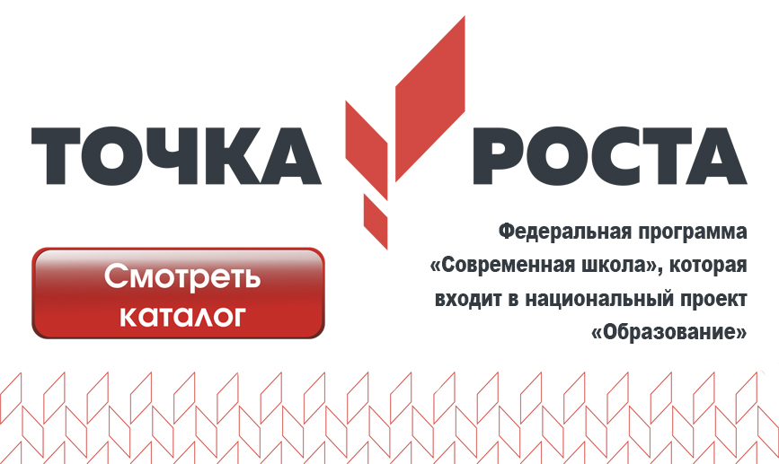 Презентация точка роста шаблон