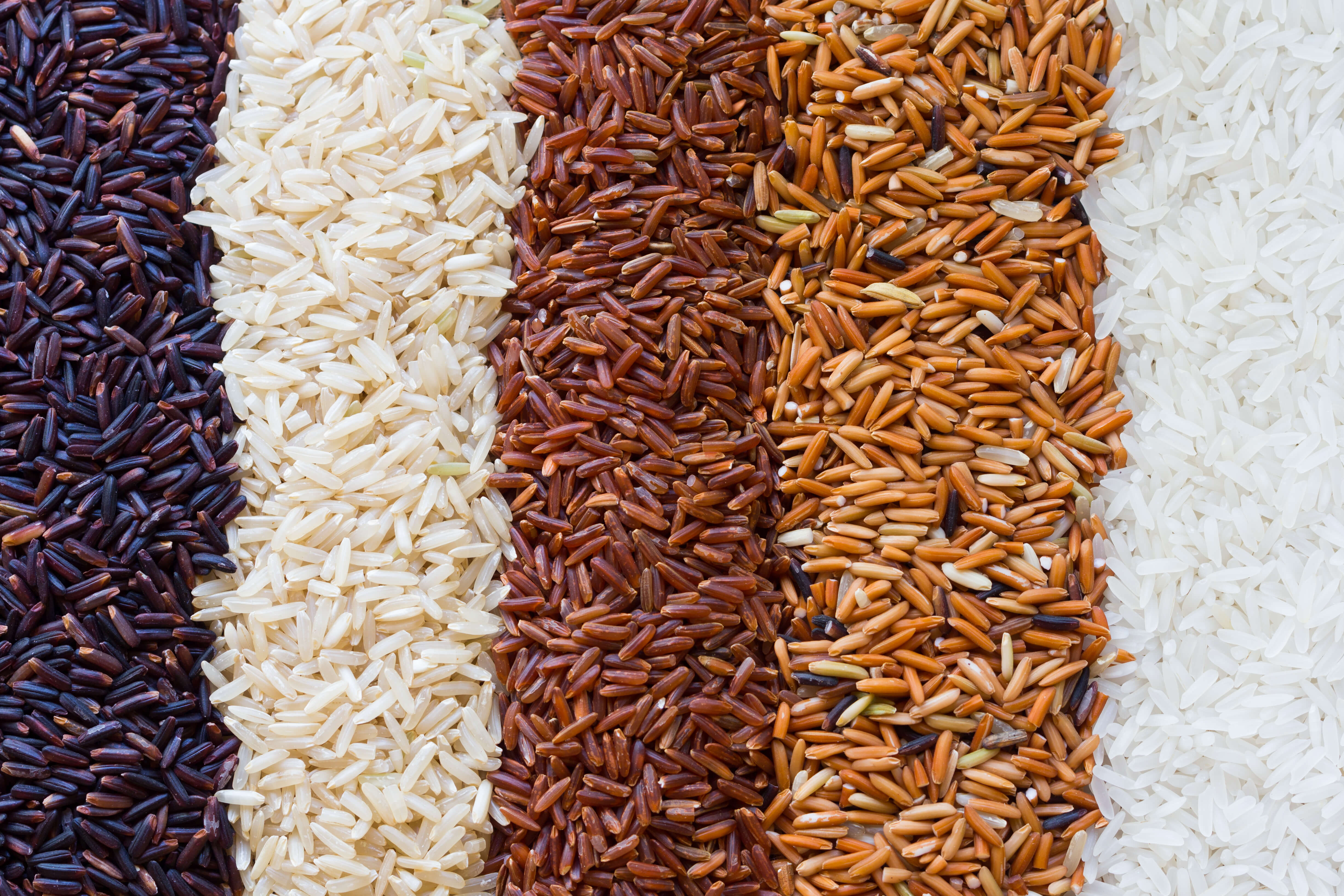 Рис и бурый рис разница. Сорта риса. Коричневый рис. Разные сорта риса. Сорт коричневого риса.