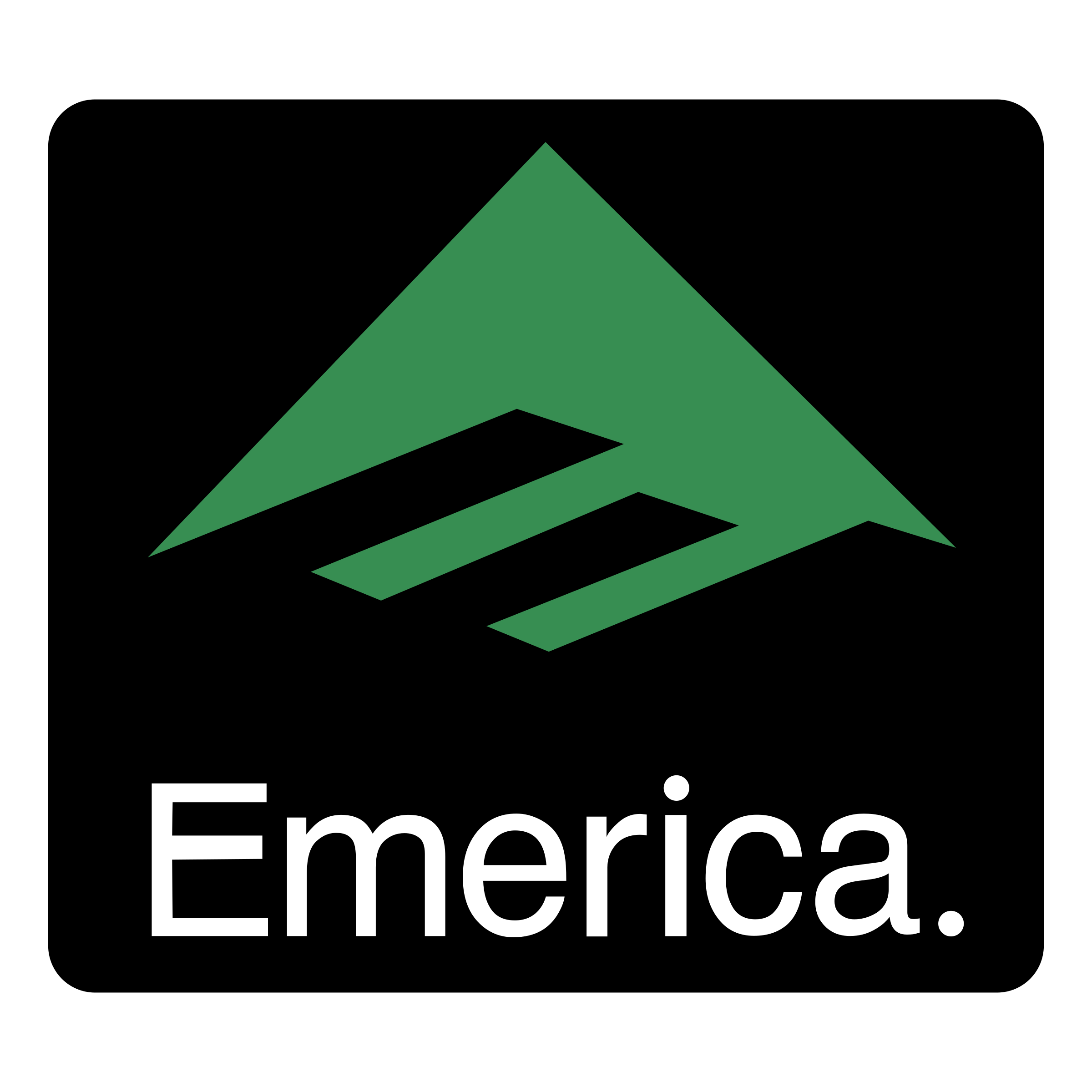 Emerica Emerica