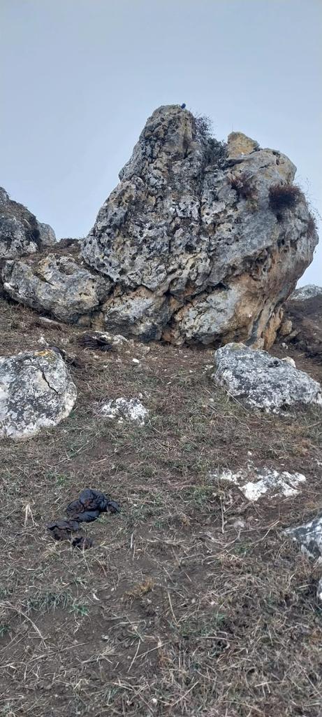 Большой камень с неровной поверхностью, окружённый несколькими меньшими камнями. На переднем плане видна земля с редкой травой. 