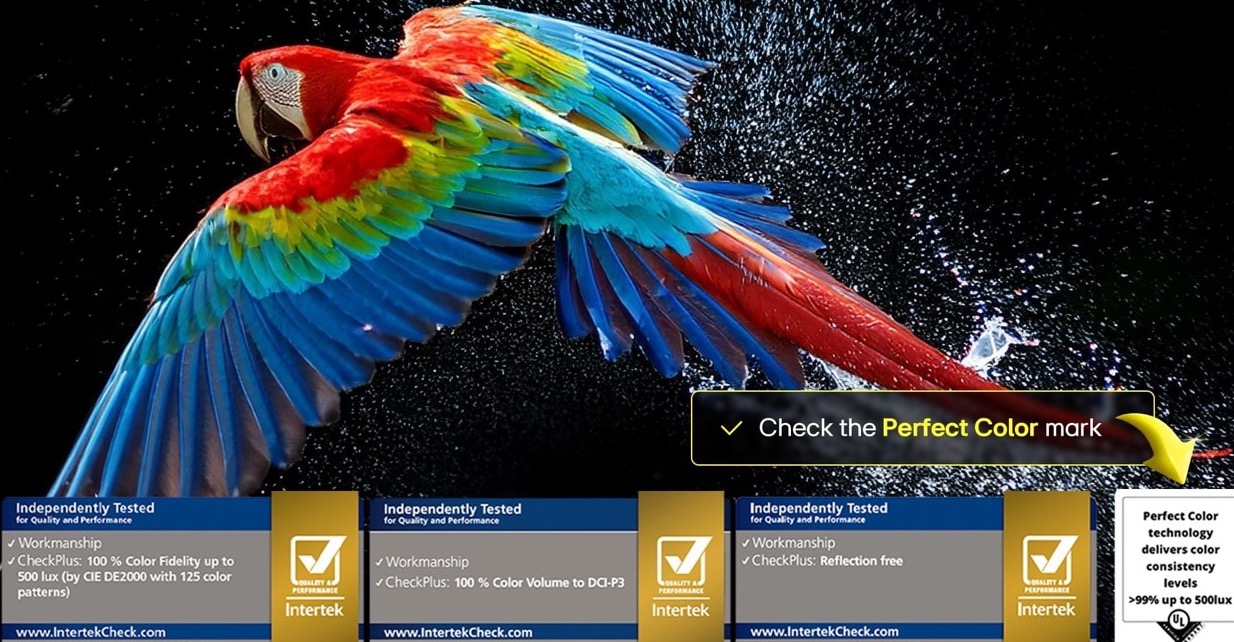 oled-g5-2025-06-feature-perfect — крупный размер.jpeg