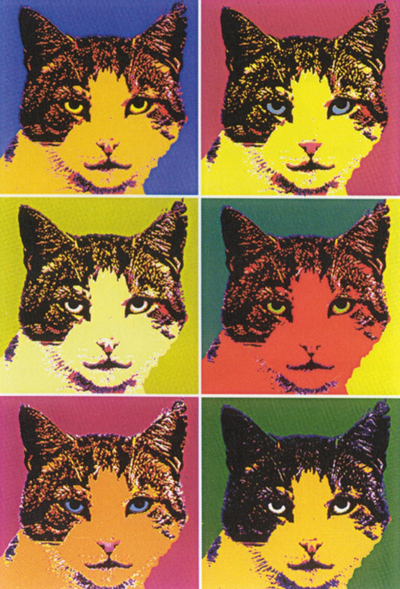 441911@2x 441911@2x.jpg