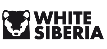 logo WS.png