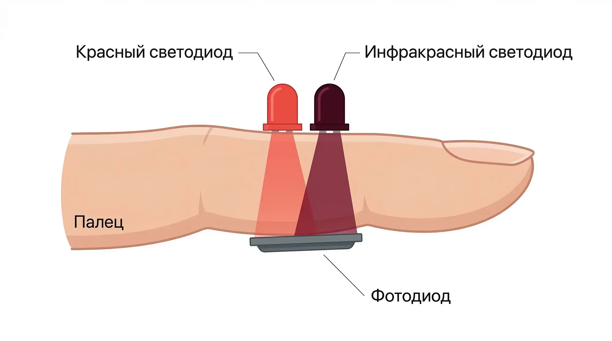 izmerenie-oksigenacii Измерение оксигенации крови