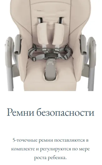 Ремни безопасности.webp