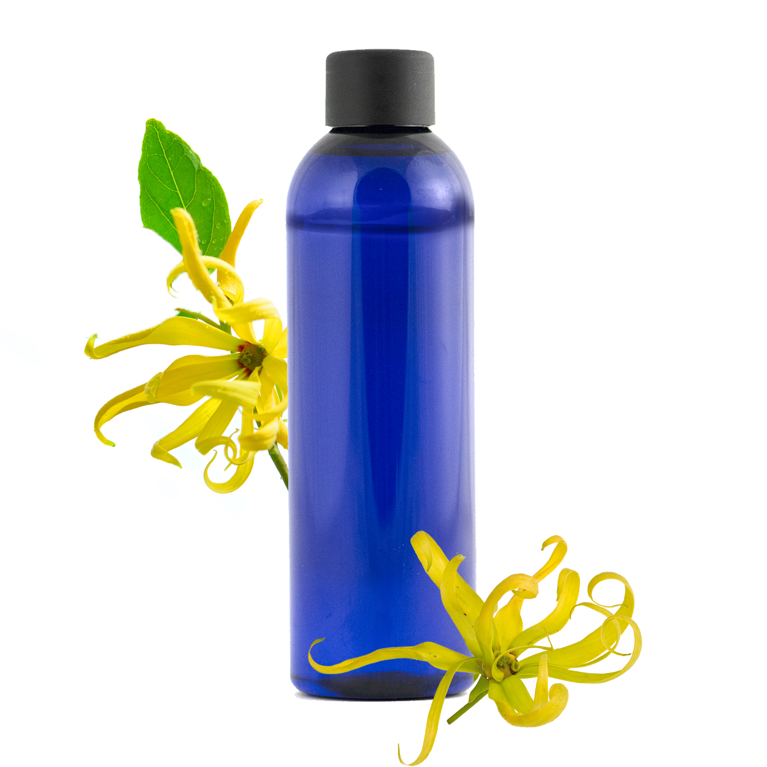 20230106113134_hy-ylang-ylang-jpg.jpeg