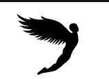 Fly