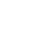 icon max