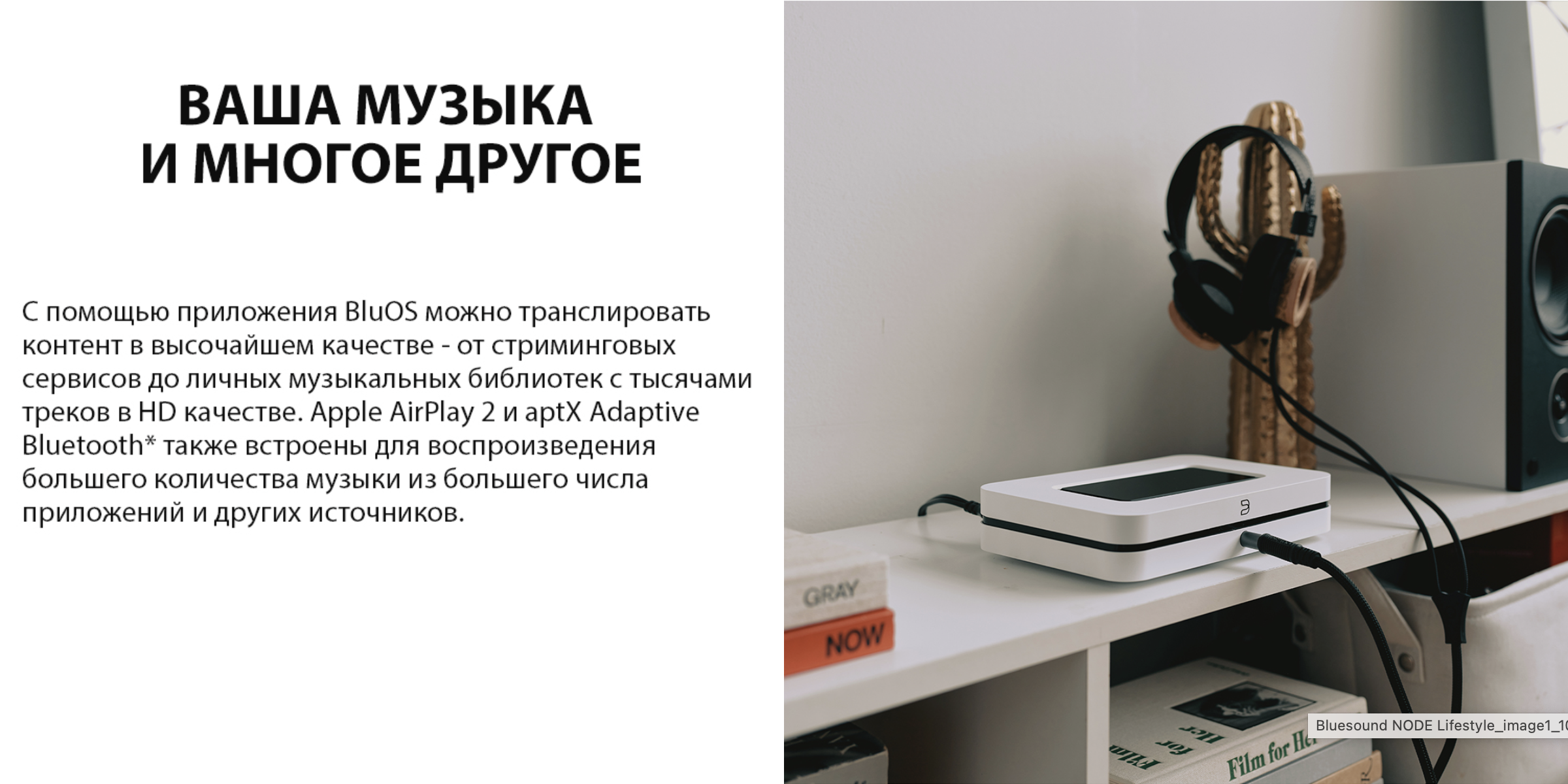 Снимок экрана 2025-01-26 в 12.36.29.png