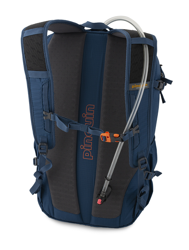 Рюкзак Pinguin Step 24