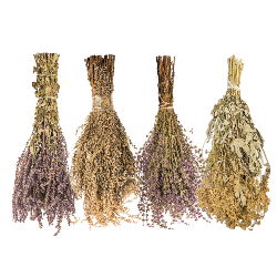 Травы и сборы трав для бани