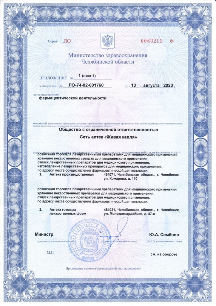 Лицензия, 3 страница