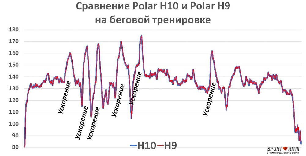 Сравнение Polar H9 и Polar H10