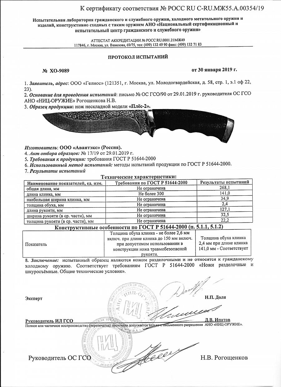 плёс-2 витязь.jpg