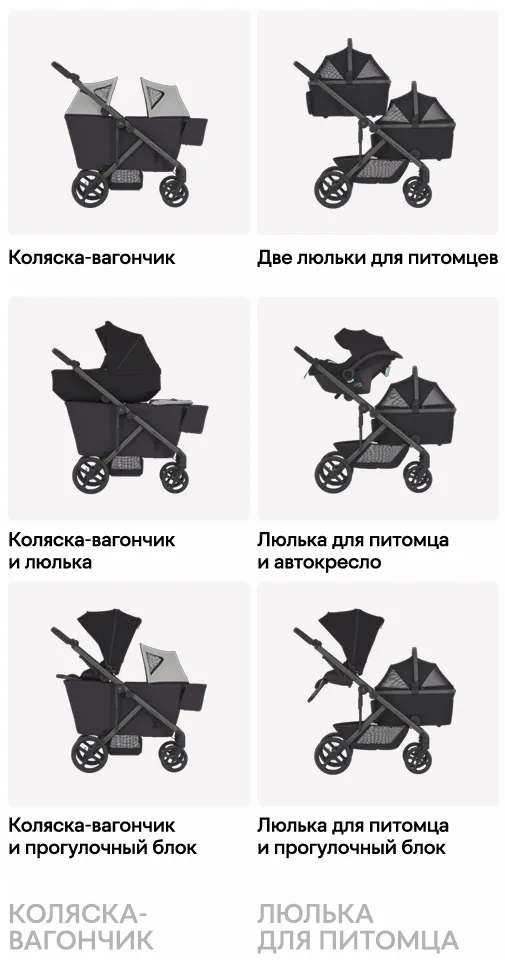 anex-modu-7 anex-modu-7.webp