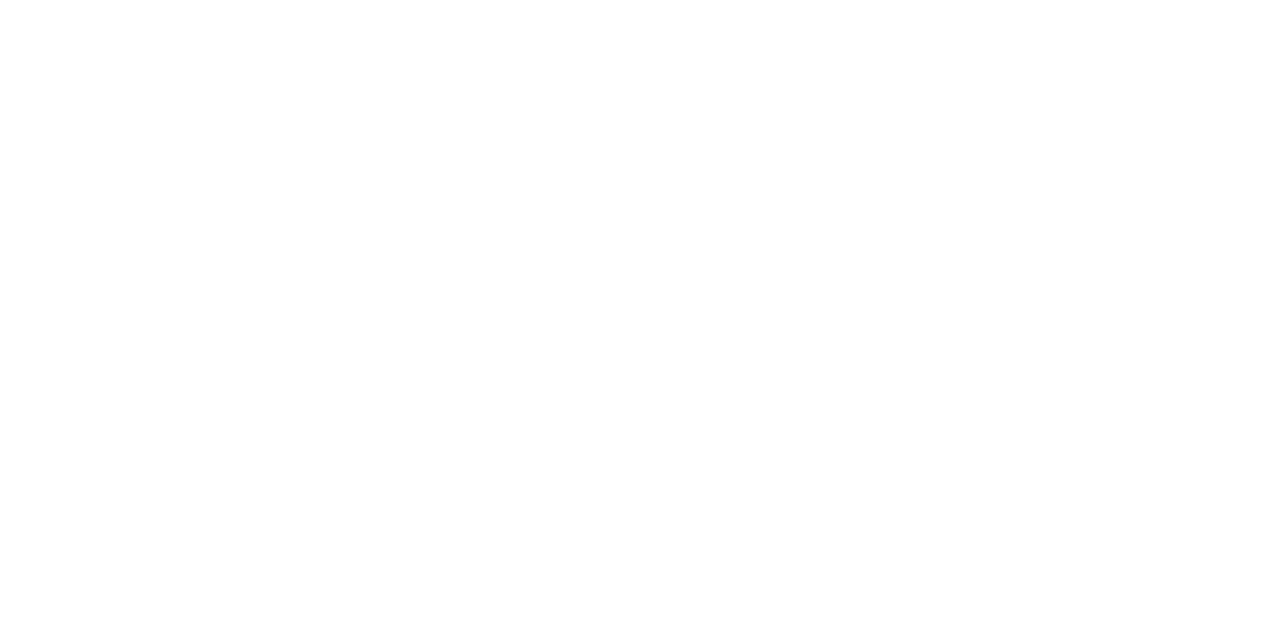 DONNABIZ