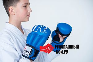 Перчатки для рукопашного боя Рэй-спорт