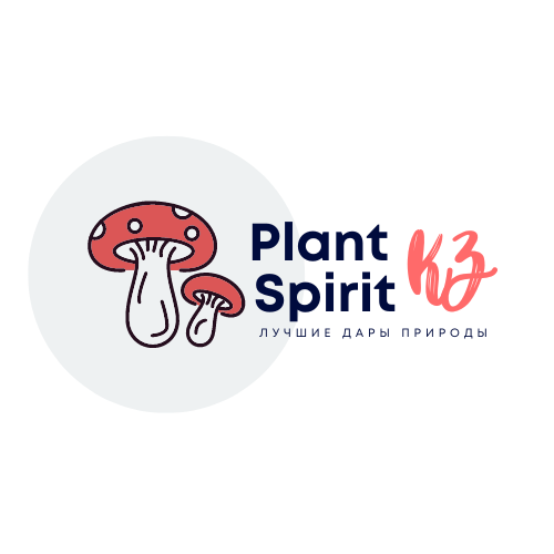Plantspirit.kz