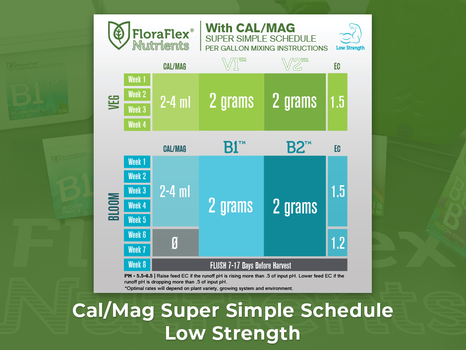 cal-mag-super-simple-sched-low.jpeg