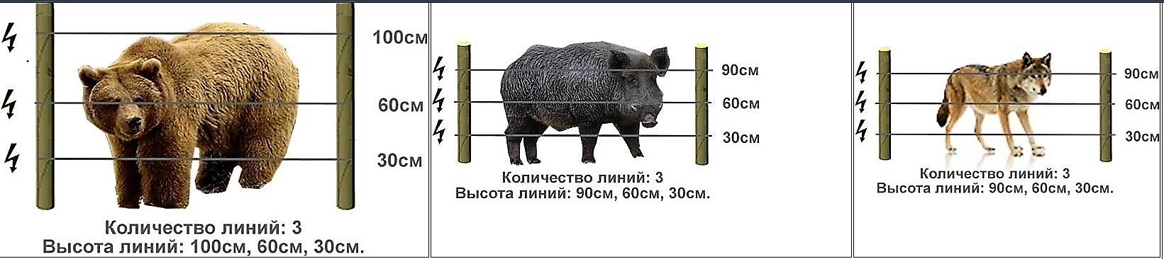 Как работает электропастух