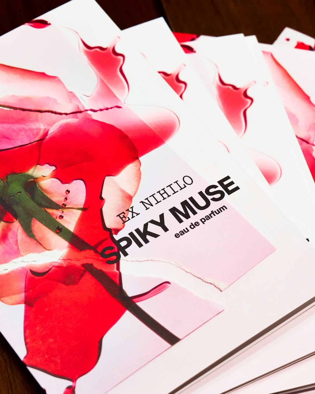 SPIKY MUSE 8.jpg