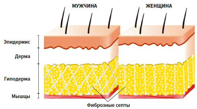 Токмакова (ЭлмТри) КМ 1-2025_Рис 1.png