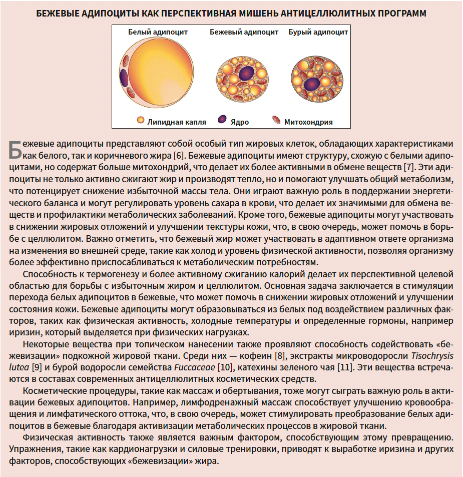 Токмакова (ЭлмТри) КМ 1-2025_справка-1.png