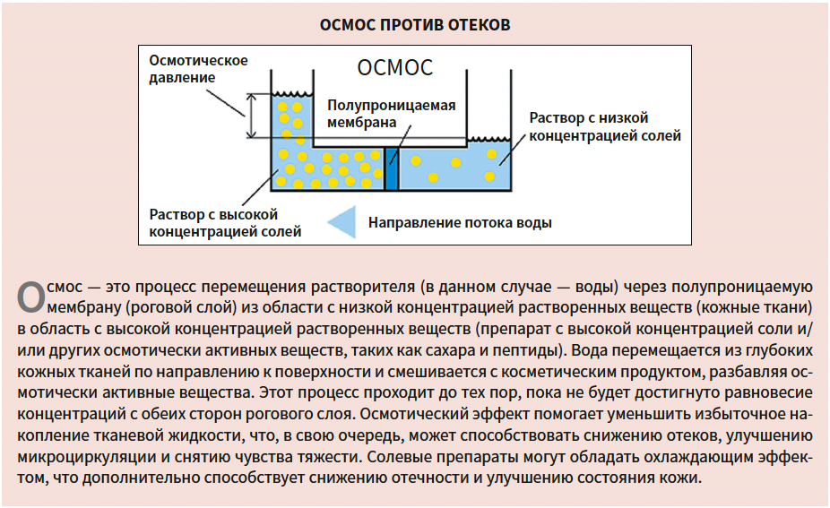Токмакова (ЭлмТри) КМ 1-2025_справка-2.png