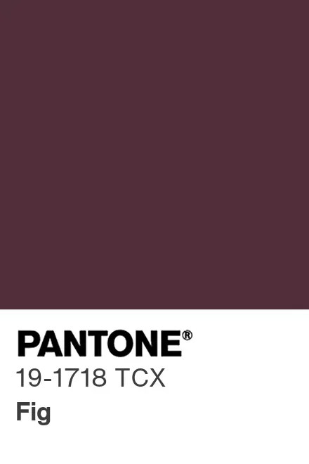 PANTONE 19-1718 TCX Fig — Инжир