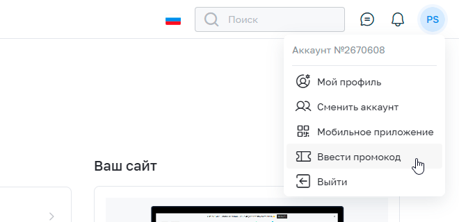 Где ввести промокод для inSales